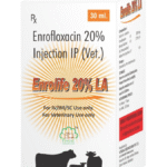 Enrolife 20% LA