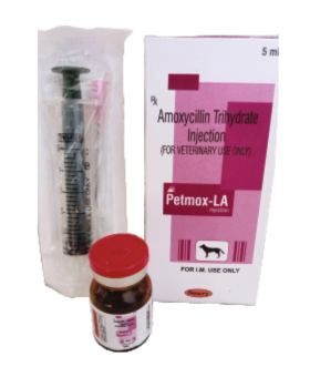 Untitled design (12)