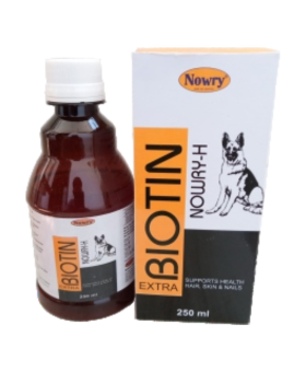 Untitled design (17)