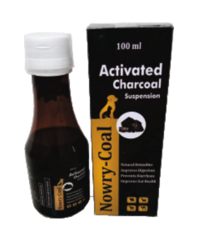 Untitled design (18)