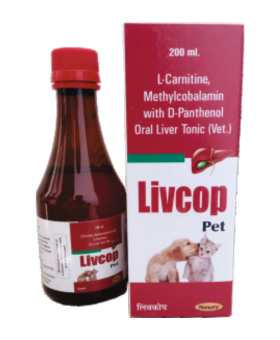 Untitled design (19)