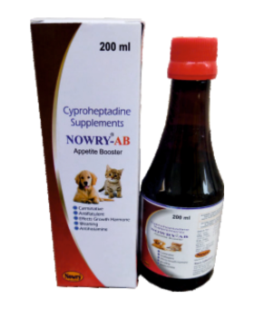 Untitled design (20)