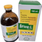 BFlow-L